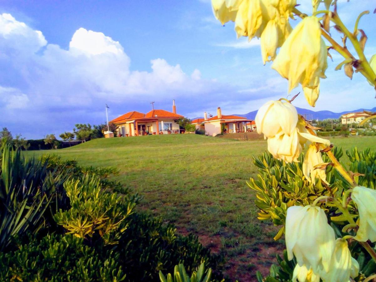 Maronia Villa Bagian luar foto